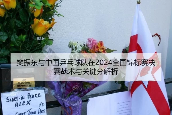 樊振东与中国乒乓球队在2024全国锦标赛决赛战术与关键分解析
